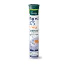 KNEIPP® MAGNESIO 375 + ENERGY 20 TB