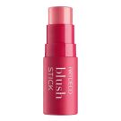 ARTDECO BRONZING BLUSH STICK$