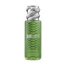 RC.JUST CAVALLI MIST GREEN 250 ML*
