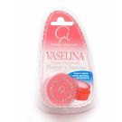 VASELINA GAL BLISTER 13 ML.