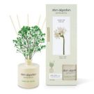 D.ALGODON AMB. MIKADO DAMA DE NOCHE 55 ML