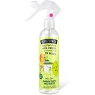 THE FRUIT C.PISTOLA MELON 250 ML.