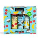 IDC INSTITUTE SKIN FOOD LIP BALM TRIO 3,5 GR