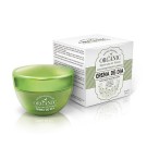 ORGANIC CREMA DE DIA ANTI-ENVEJECIMIENTO 50ML