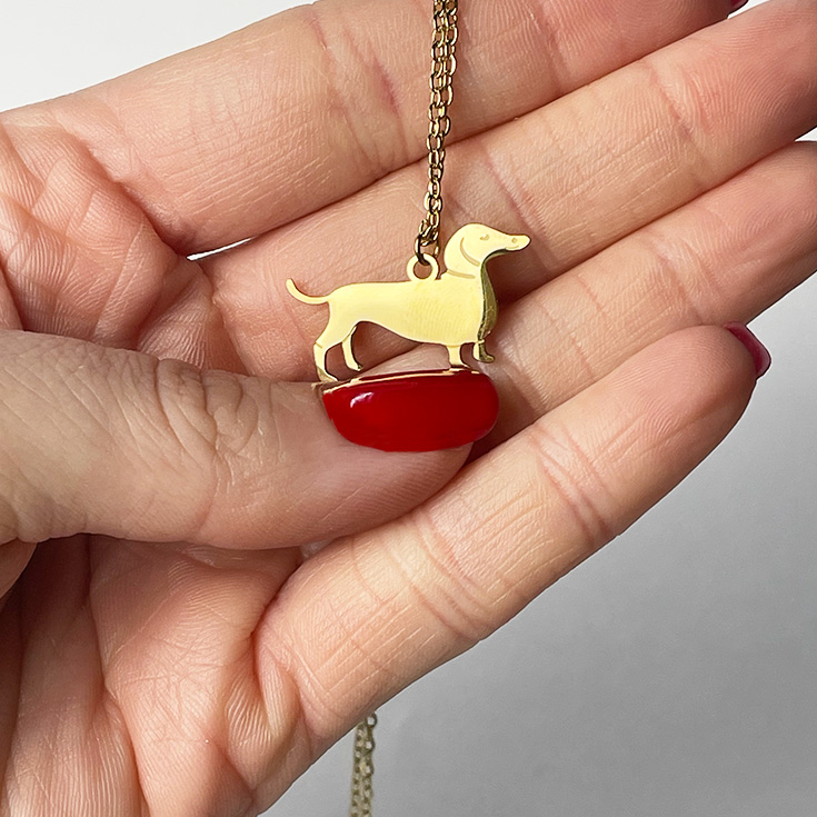 collar perro salchica dorado