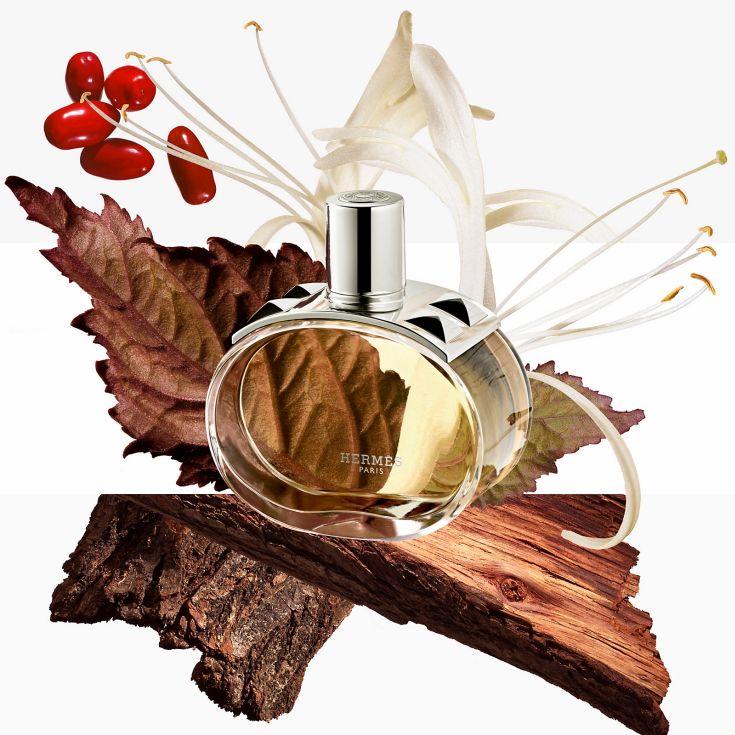 hermes barenia eau de parfum