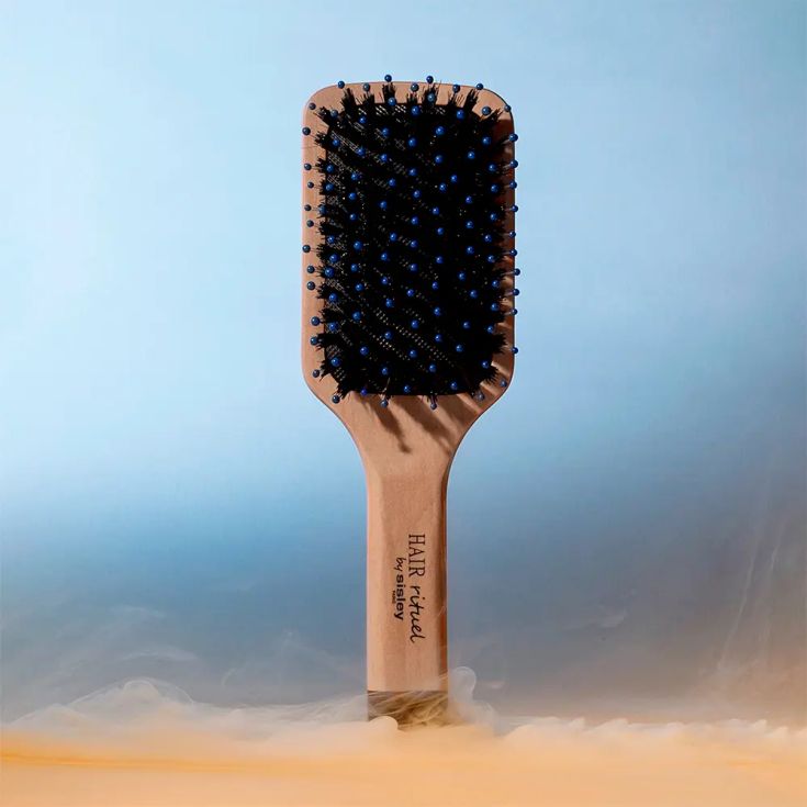 sisley cepillo la brosse brillanc