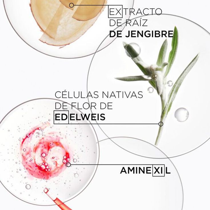 kerastase genesis bain 250ml + fondant 250ml cofre
