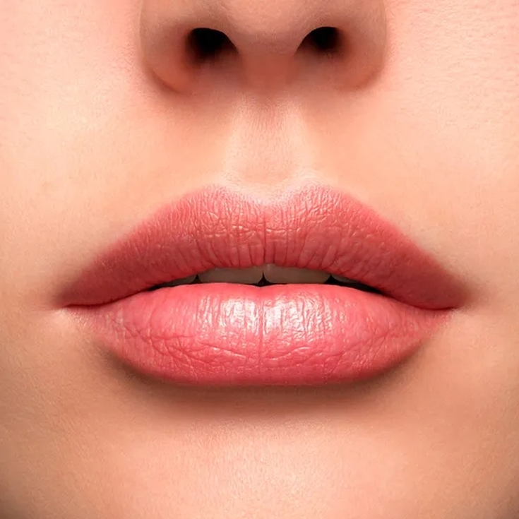 Lancôme L'Absolu Rouge Cream Barra de Labios