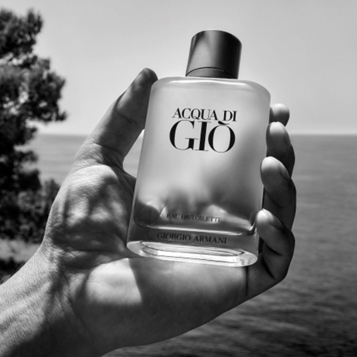 giorgio armani acqua di gio eau de toilette