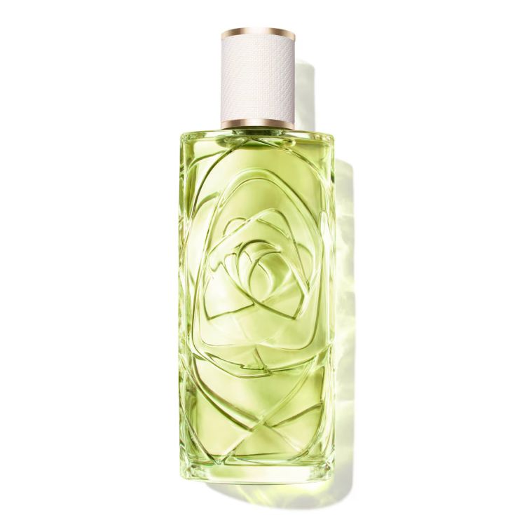 o de lancome off now eau de toilette 100ml o de lancome off now eau de toilette 100ml