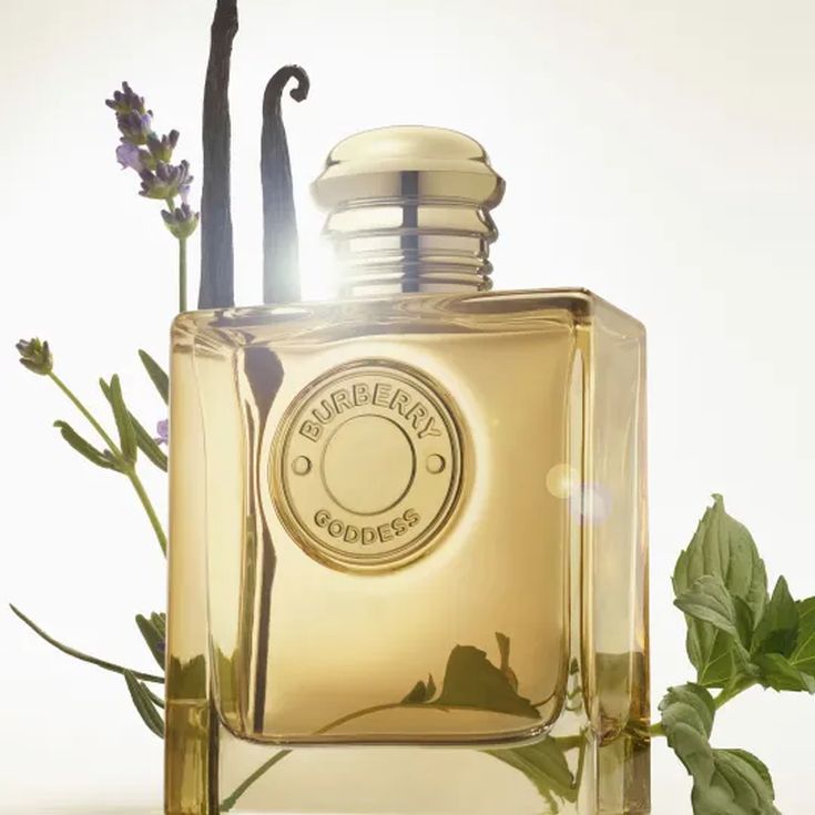 burberry goddess intense eau de parfum