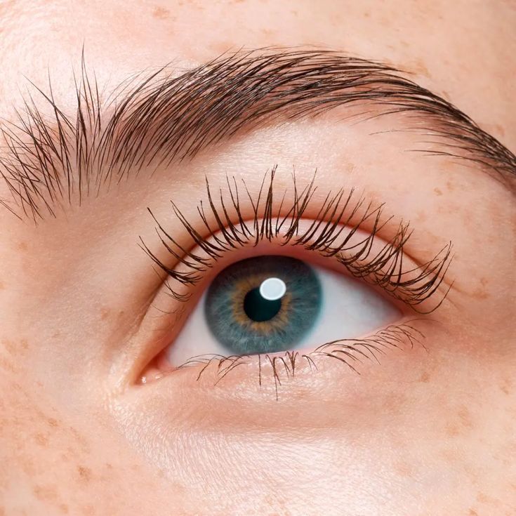 catrice mascara volumen resistente agua marron