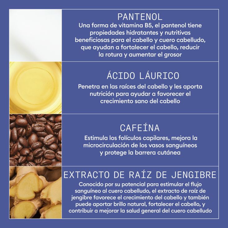 nioxin night density tratamiento nocturno anticaida 70ml