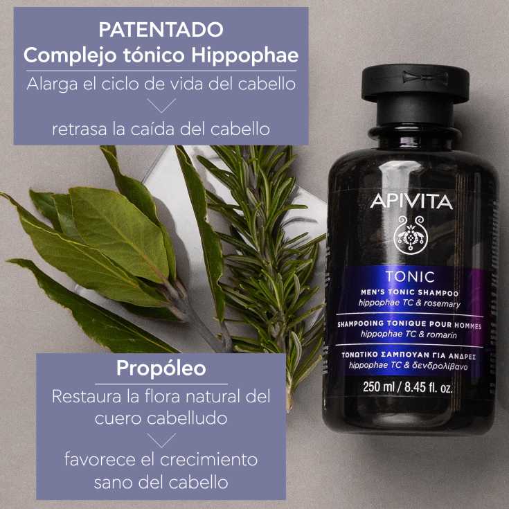 apivita champu anticaida hombre 250ml