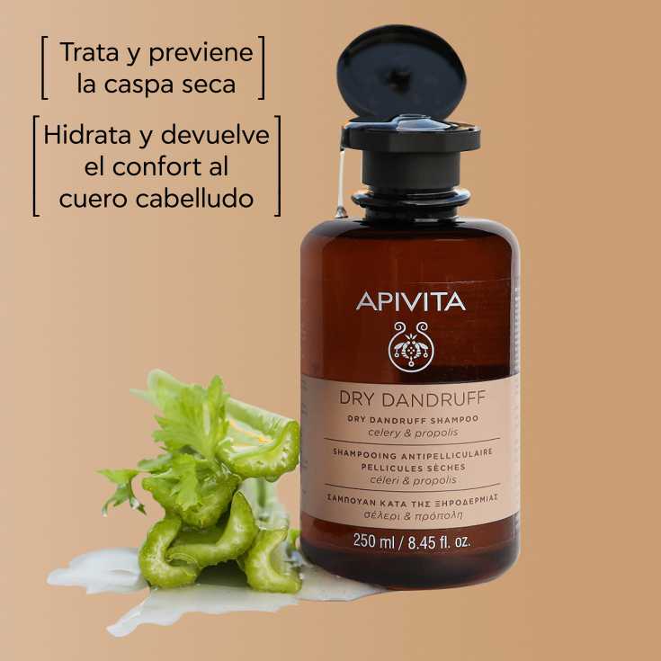 apivita champu anticaspa seca 250ml