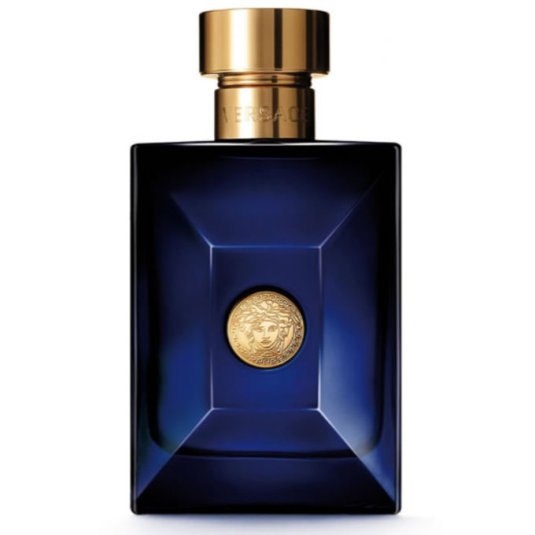 versace pour homme dylan blue eau de toilette 100ml