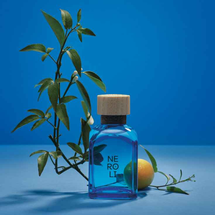adolfo dominguez neroli eau de toilette man edicion limitada 