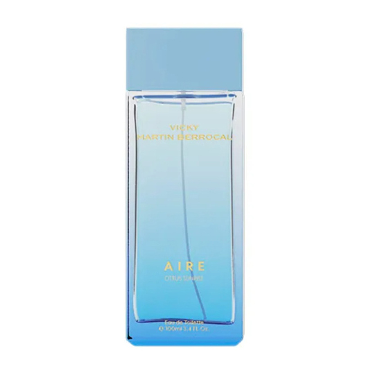 vicky martin berrocal aire eau de toilette 100ml
