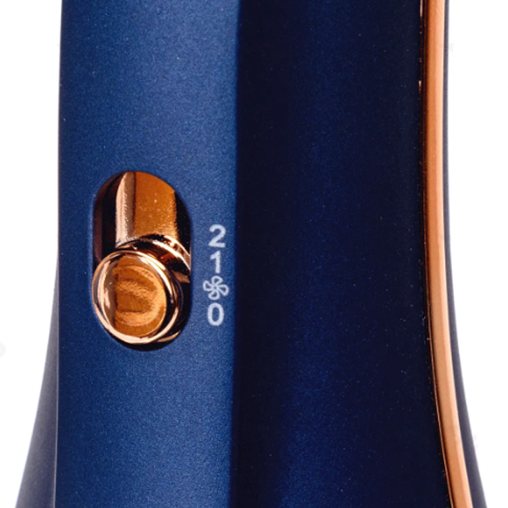 aigostar cepillo secador de pelo 1200w