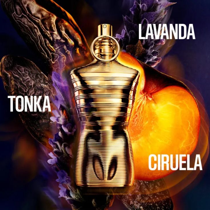 gaultier men le male elixir absolu parfum intense