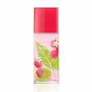 GREEN TEA LITCHI EDP 100 VAP