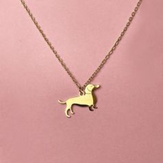 collar perro salchica dorado