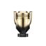 INVICTUS ELIXIR PARFUM 50 ML