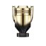 INVICTUS ELIXIR PARFUM 100 ML