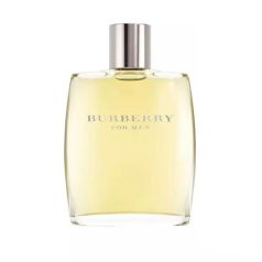 burberry men classic eau de toilette 100ml