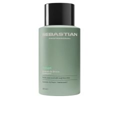sebastian volupt champu voluminizador 280ml
