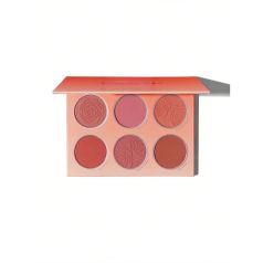 sheglam paleta coloretes floral flush
