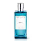 ANGEL SCH.INSTANT H. AROMATIC SAGE 100 ML*