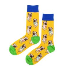 happy feet calcetin bull dog pañuelo