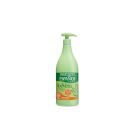 BODY INSTITUTO ALOE VERA DOSIF.950