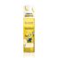 REVLON EQUAVE KIDS MINIONS ACOND.200 ML