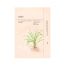 ONDO ADENOSINE & ZHI MU LIFTING MASK