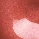 LOREAL BARRA INFALIBLEX3 312