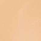 LOREAL CONCEALER ACCORD PERFECT 3N*R