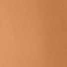 LOREAL CONCEALER ACCORD PERFECT 7D/W*R