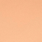 ARTDECO MAQ.SUN PROTEC.POWDER SPF50 90 REC.