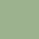 CATRICE CORRECTOR LIQ.CAMOUFLAGE 200*R
