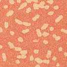 ESSENCE SOMBRA DE OJOS SOFT TOUCH 09*R