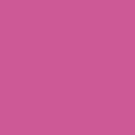 DARE GLOSS LIP SHINE 05*