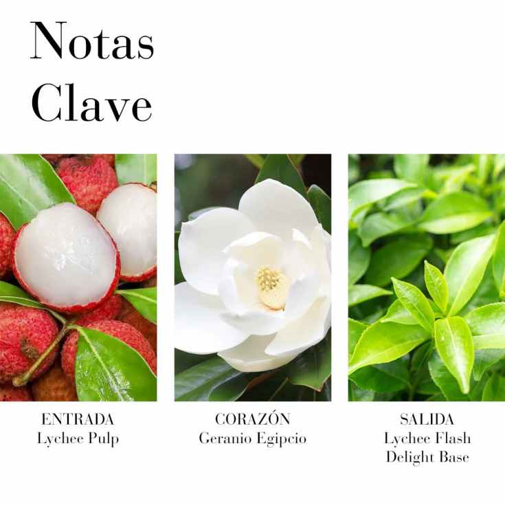 elizabeth arden green tea lychee eau de toilette 100ml elizabeth arden green tea lychee eau de toilette 100ml