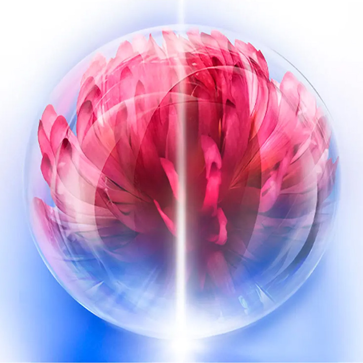 shiseido bio perform skin hiforce cream 50ml