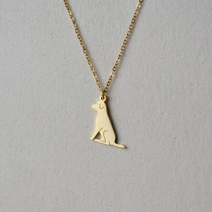 collar dorado perro sentado