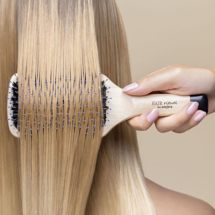 sisley cepillo la brosse