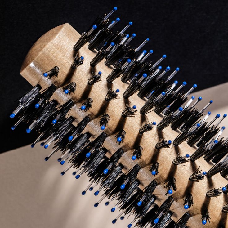 sisley cepillo la brosse brushing nº1 sisley cepillo la brosse brushing nº1