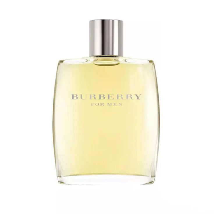 burberry men classic eau de toilette 100ml